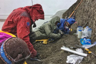 Найдена «ледяная мышь», которая пережила исчезновение полярных динозавров