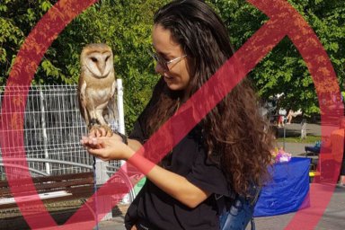 «Живодерский бизнес»: Виктория Дайнеко оправдалась за фотосессию с совой