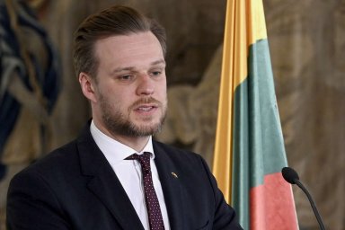 В Литве испугались разговоров на Западе о переговорах по Украине