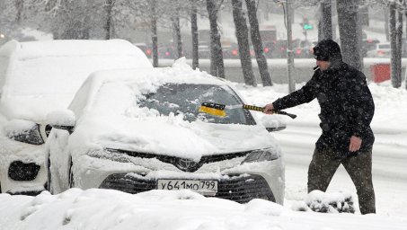 В Петербурге женщину лишили водительских прав за снег на номере