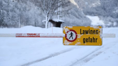 В Австрии спасатели освободили из-под лавины восемь человек