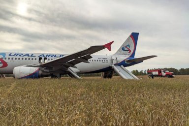 В Госдуме предложили лишить «Уральские авиалинии» лицензии после посадки Airbus в поле