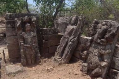 Археологи обнаружили редкие древние артефакты в тигрином заповеднике Индии