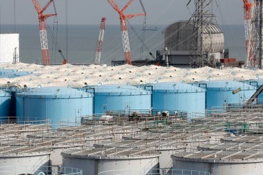 Эксперт призвал Японию при сбросе воды с АЭС «Фукусима» помнить о болезни Минамата