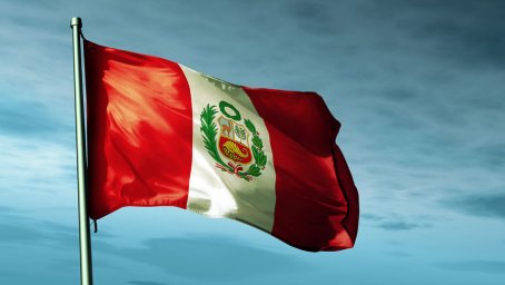 Глава МИД Перу подала в отставку