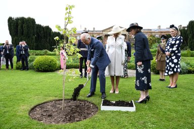 Карл III и Камилла посадили дерево во время первого королевского визита в Северную Ирландию