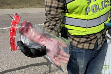 Отрубленная рука на обочине шоссе в Мичигане оказалась подделкой