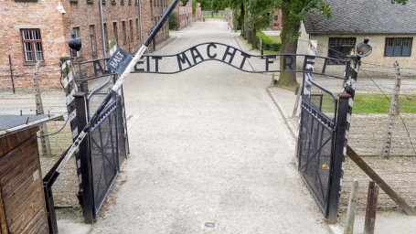 Поляки не пригласили на освобождение Освенцима потомков освободителей