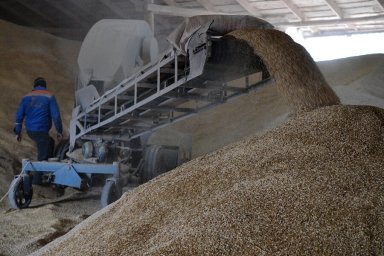 Минобороны Турции заявило, что зерновая сделка продлена с 19 марта