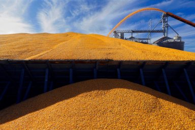 Украина считает, что Турции под силу возобновить зерновую сделку