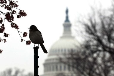 Белый дом: США знают о попытках Ватикана содействовать миру на Украине