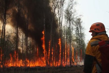 Из-за нормализации ситуации с пожарами в лесах Приамурья отменен режим ЧС