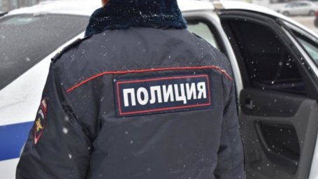 Новосибирская школьница остановила грабителя-уголовника болевым приемом