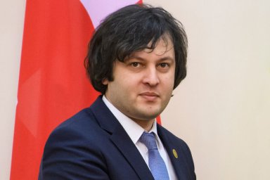 В правящей партии Грузии рассказали, почему кабмин против визита президента в Брюссель
