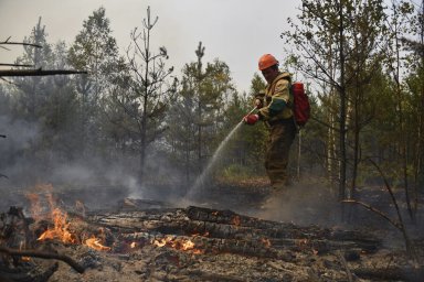 Около 125 га леса горит в Ростовской области