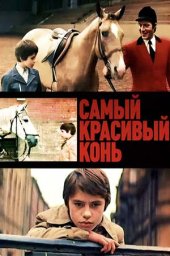 Самый красивый конь (1976)