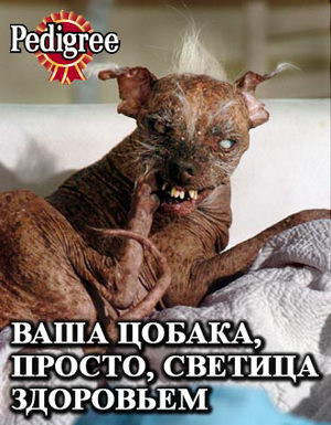 fc9be5d7