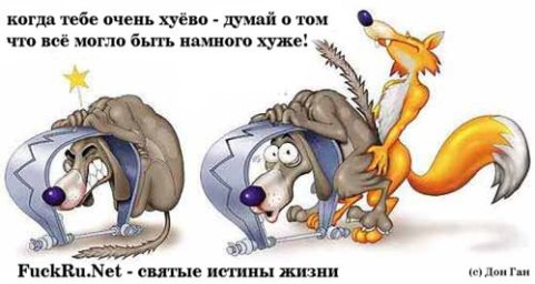 fff0bdcb