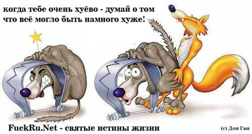 fff0bdcb