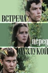 Встреча перед разлукой [1985, драма, военный]