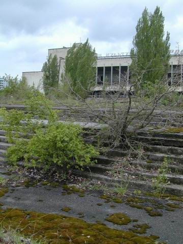 20af13a1