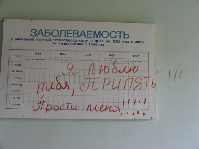 91256561