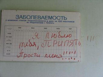 91256561