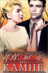 Цветок на камне (1962) Цветок на камне (1962)