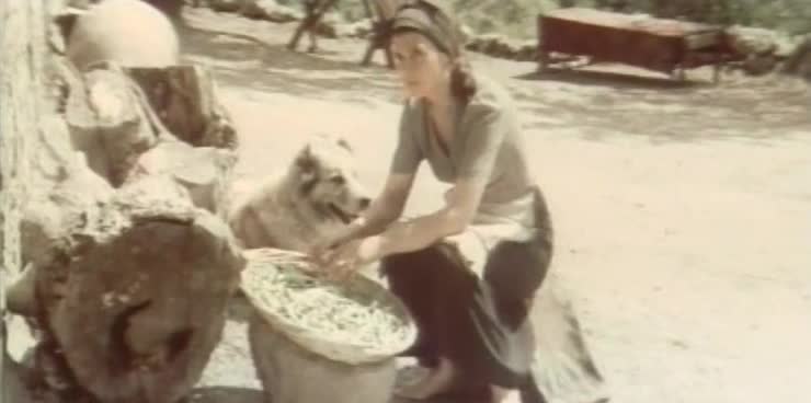 Ущелье покинутых сказок (1974)