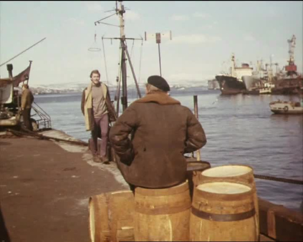 Идущие за горизонт (1972)