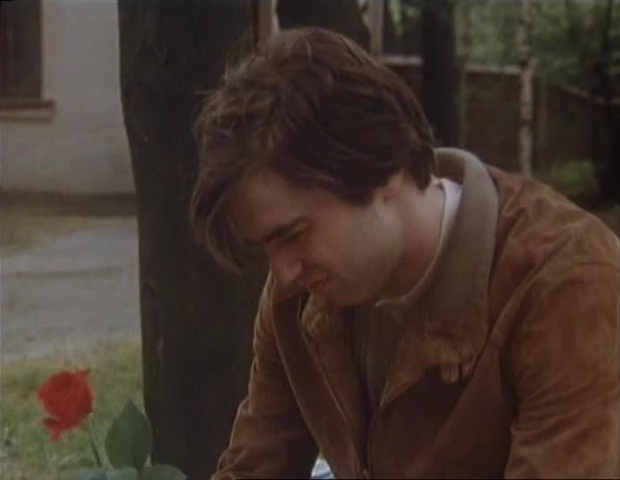 Тапёр. 2 серии (1989)