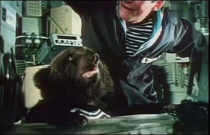 Егорка (1984)