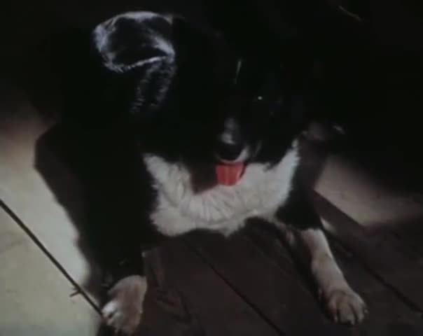 Зимовье на Студёной (1986)