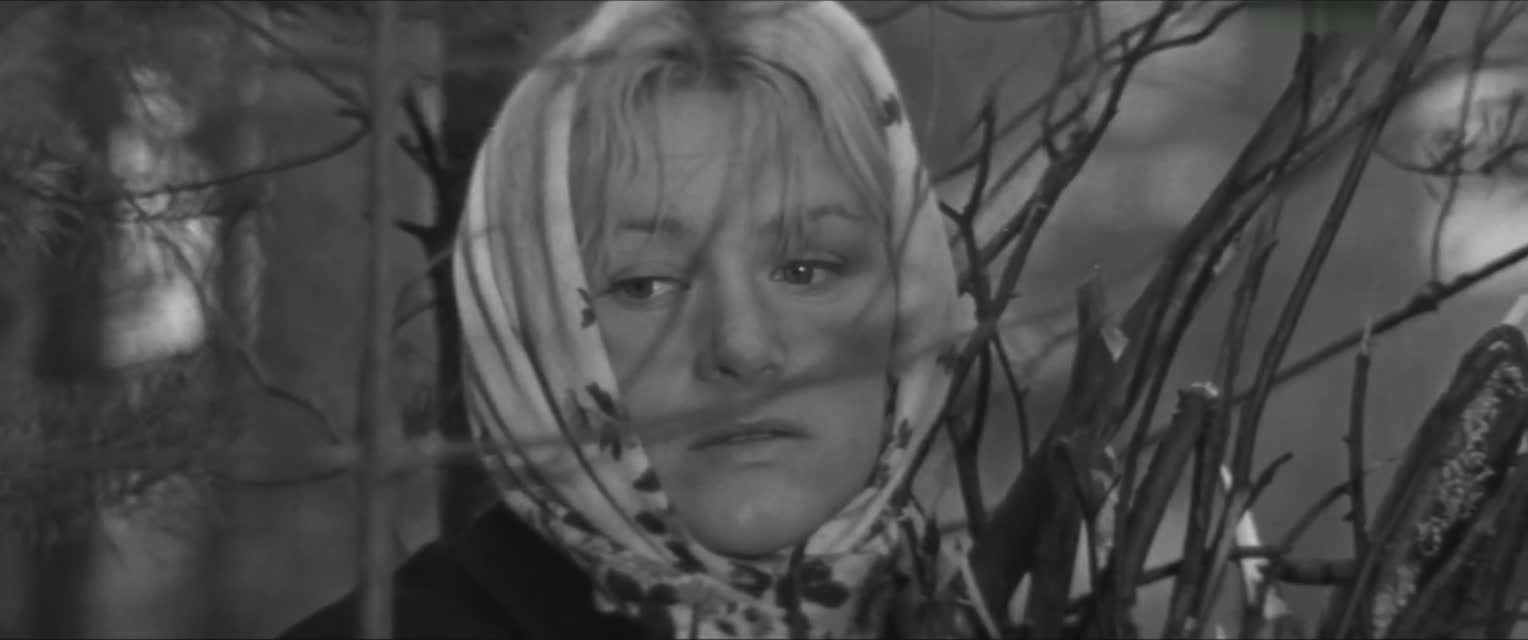Иванов катер (1972)