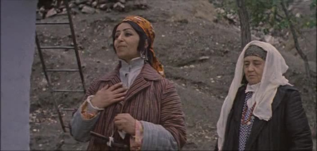 Женщина издалека (1978)