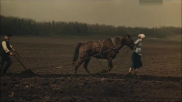 Здесь, на моей земле (1979)