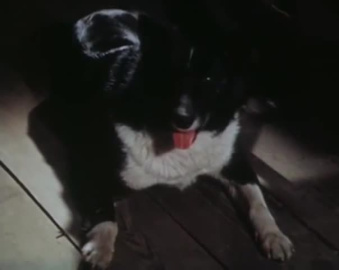 Зимовье на Студёной (1986)