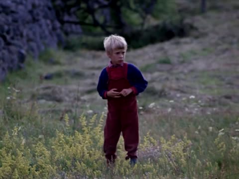 Цветные сны  Varvilised unenaod 1974 HDT 1080p