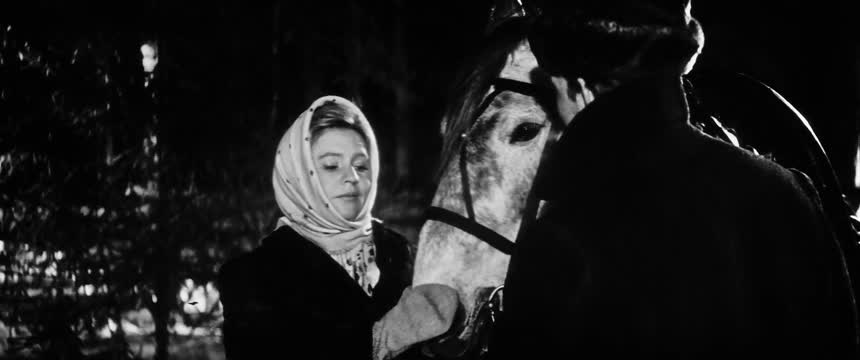 Только три ночи (1969)