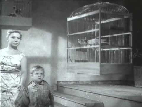 Братья Комаровы [1961, детский]