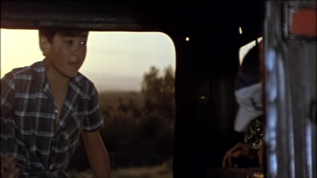 Волчонок среди людей [1988, драма, приключения]