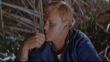 Диалог с продолжением (1980)