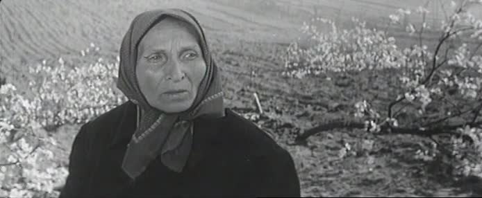 Дом и хозяин (1967)