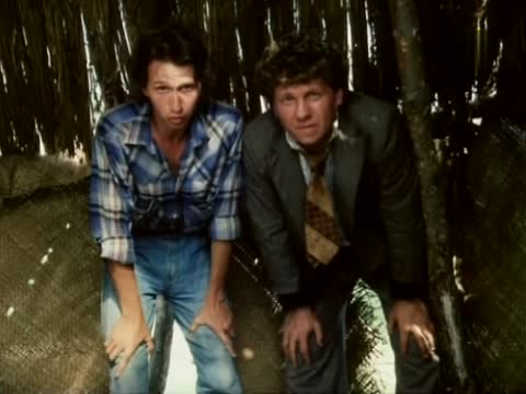 Самолет летит в Россию [1994, комедия]