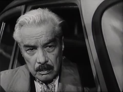 Цветок на камне (1962)
